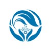 IEEE Student Branch